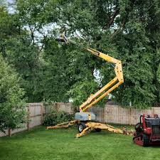 Best Tree Trimming and Pruning  in Hackleburg, AL